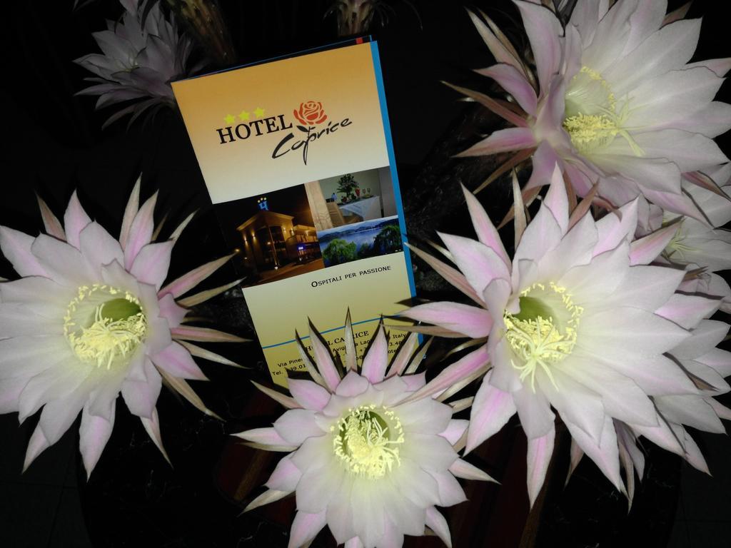 Caprice Hotel Avigliana Exterior foto